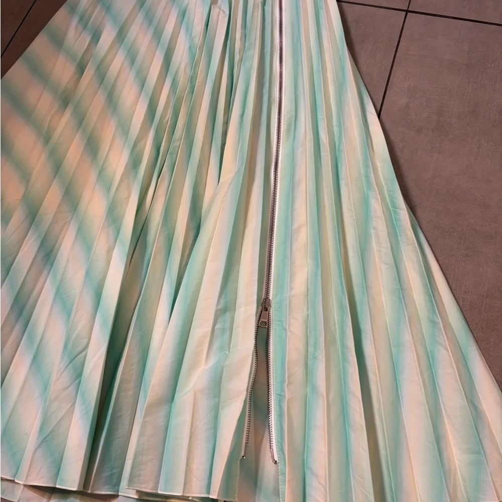 Beatrice B women’s Striped Mint Green pleated Maxi Skirt with side zipper - Picture 3 of 4
